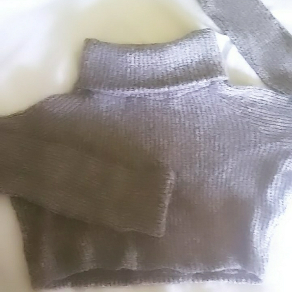 Turtle neck sweater (crop)